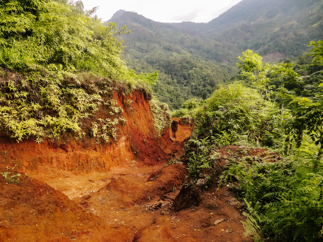 trail with mud and red sand during la Ciudad Perdida hike