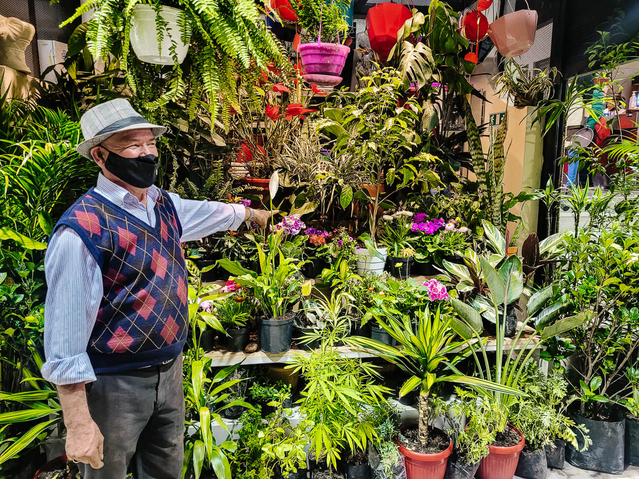 plant seller in Bogota
