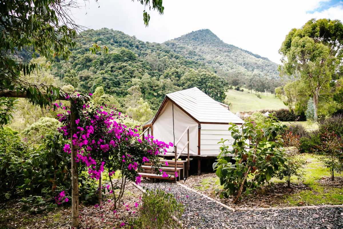 Bungalows bij Lumbre Glamping.