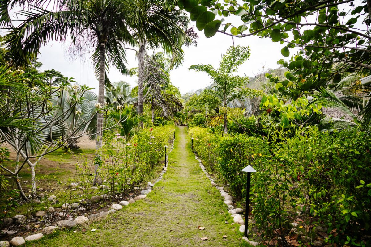 wandelpaden omringd door groen bij One Santuario Natural hotel Palomino Colombia