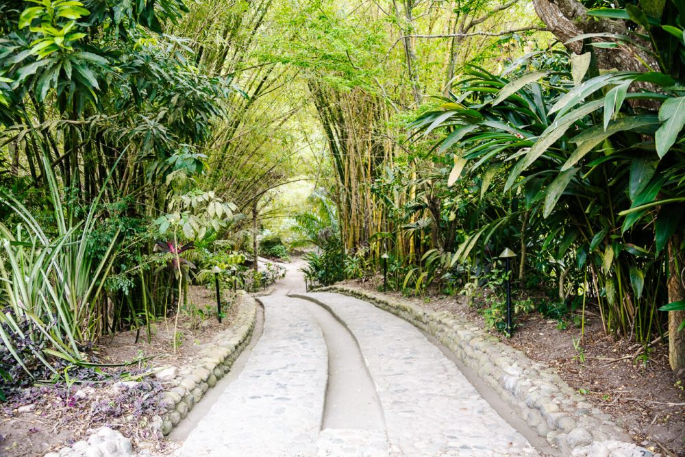 entrance road at One Santuario Natural in Colombia