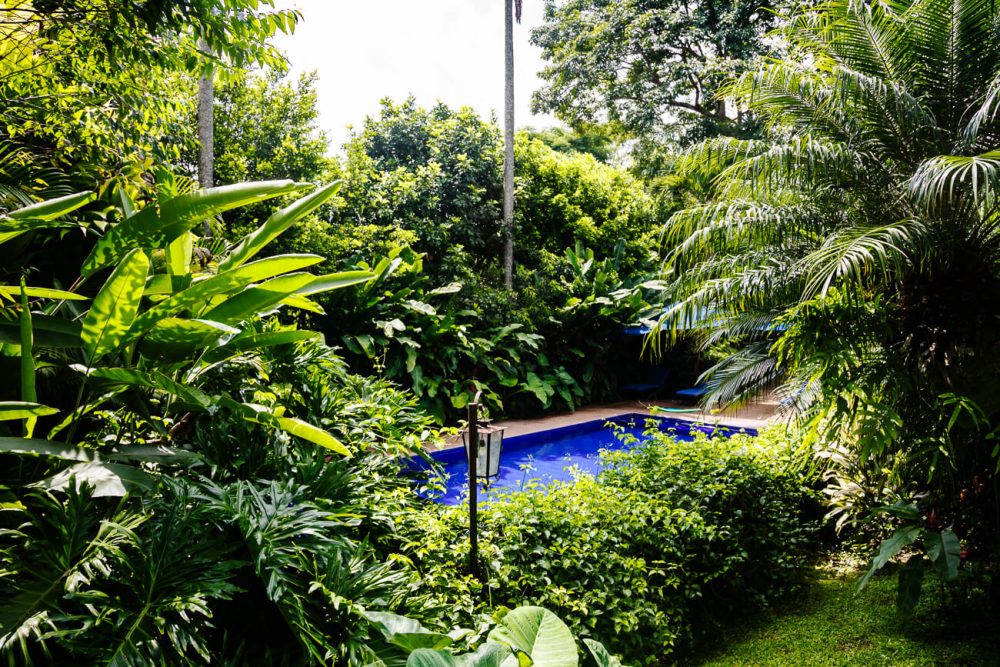 zwembad omringd door groen in Sazagua Boutique Hotel nabij Pereira in Colombia