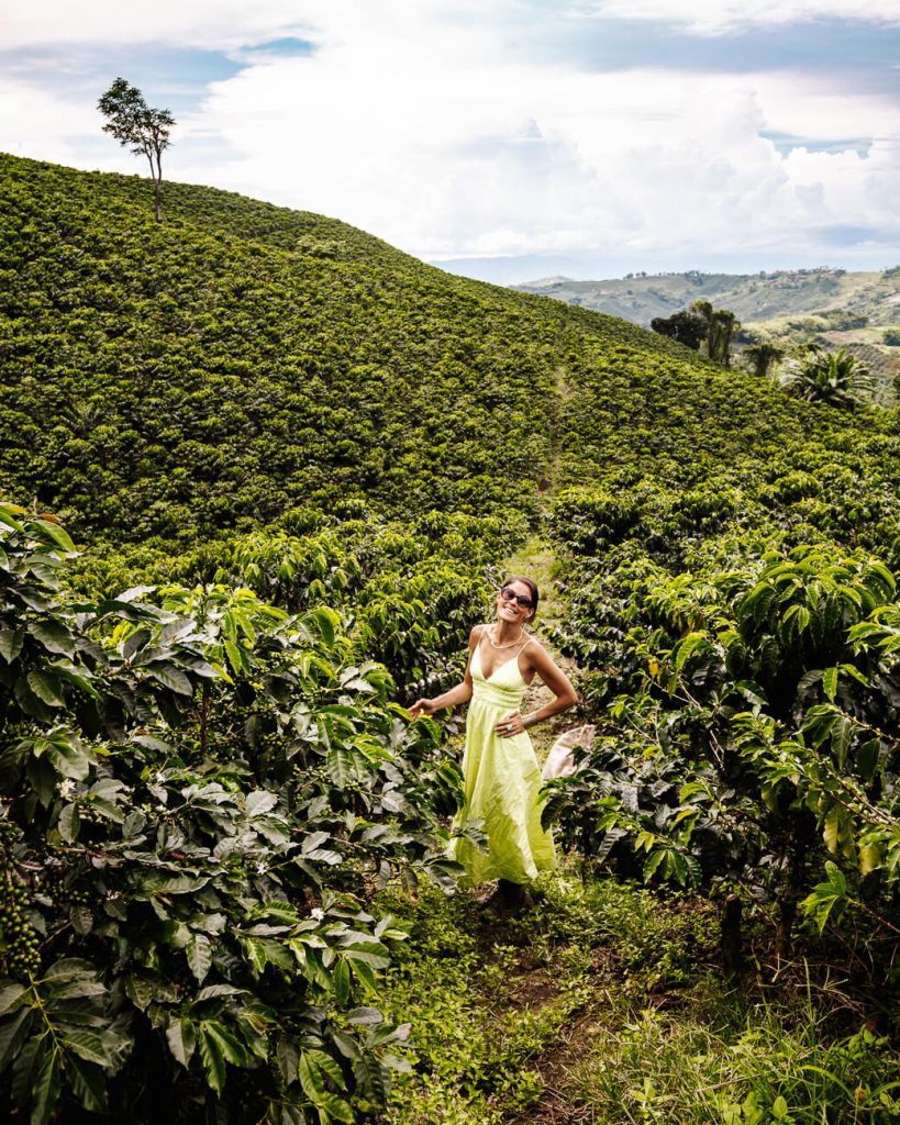 Deborah at Alto de la Paz, 360 degree view of coffee plantation  in Colombia