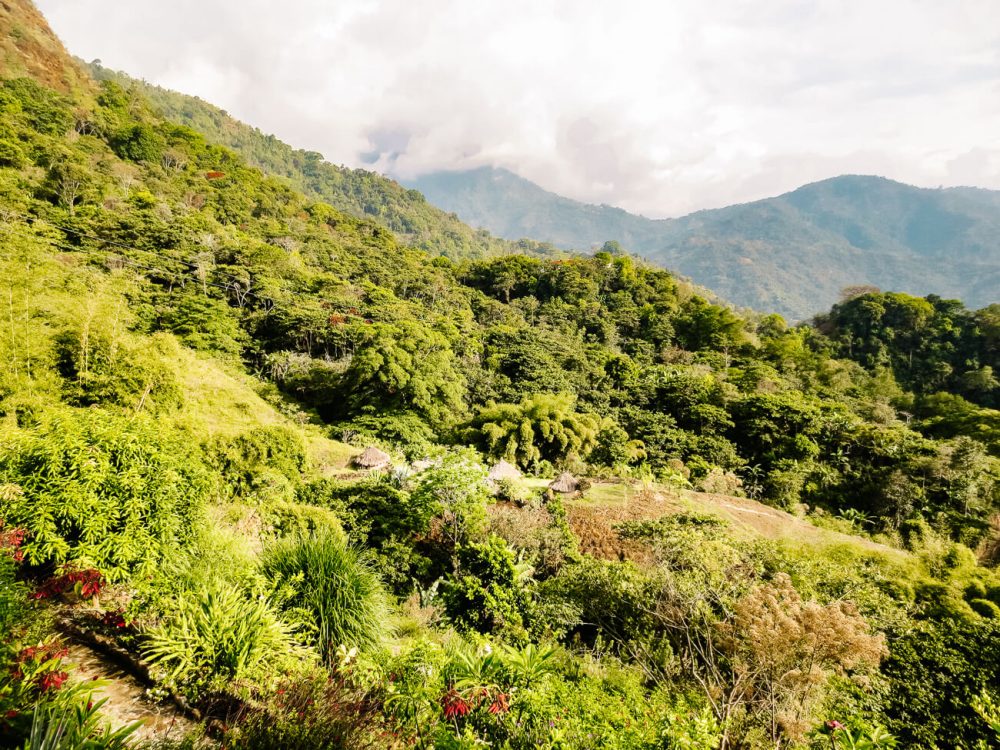 Vanaf Mundo Nuevo in Minca Colombia heb je prachtige uitzichten over de omgeving. Je kunt hier een drankje drinken en eventueel een bezoek brengen aan de lagergelegen gemeenschap van de Wiwa inheemse bevolking.