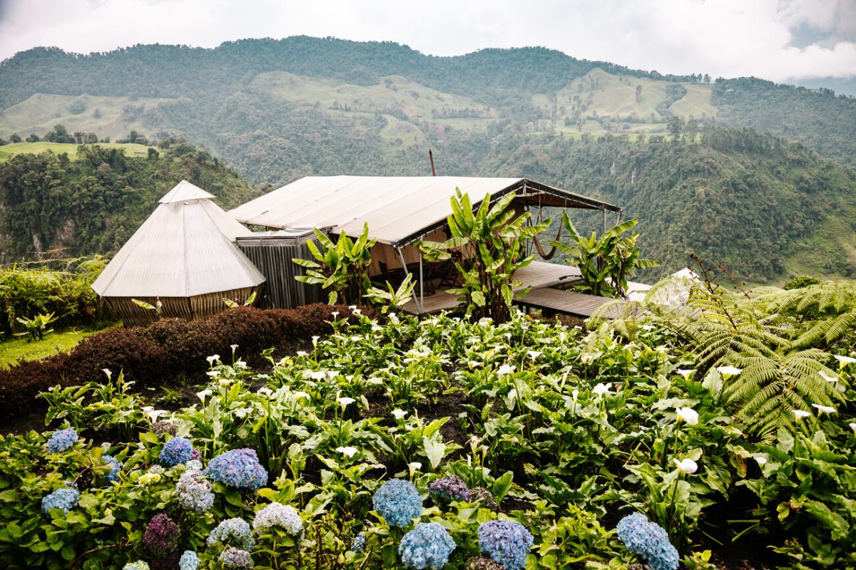 El nido del condor surrounded by greenery, one of the best places to stay in the coffee region in Colombia