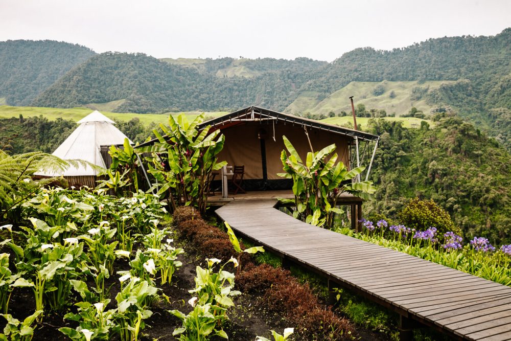 bungalow van El nido del condor omringd door groen in Colombia 