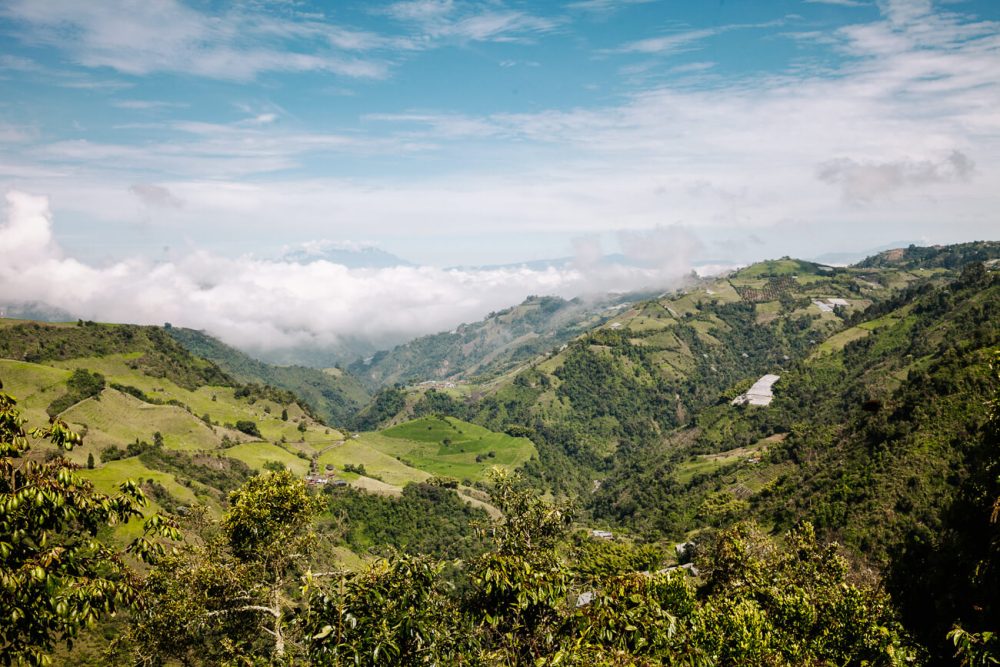 view of Colombia coffee region