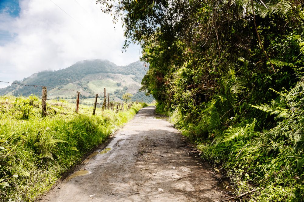 road towards el nido del condor ecolodge in Colombia