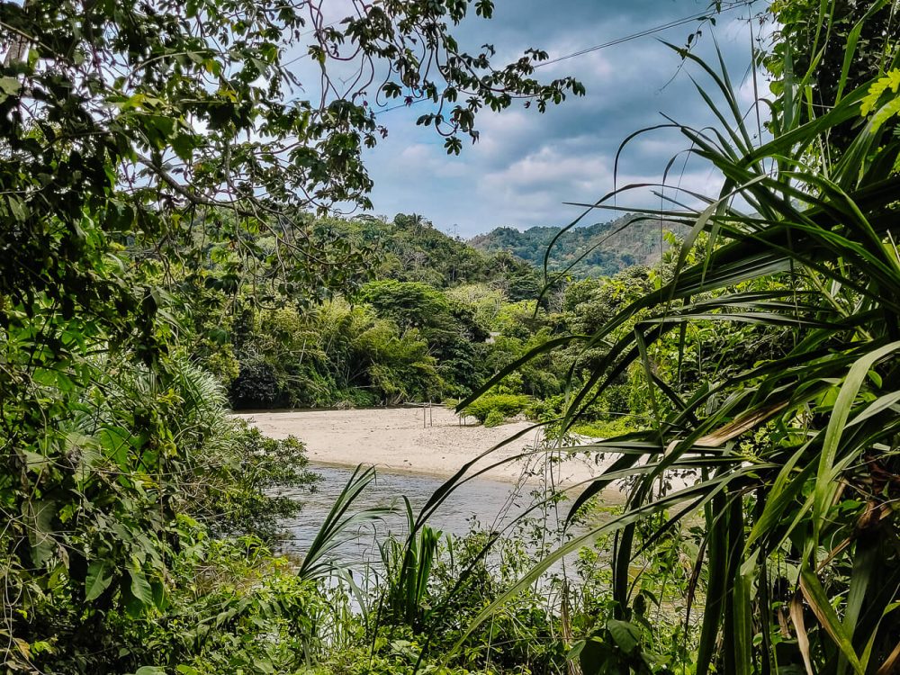 view of Palomino river during hike around One Santuario Natural in Colombia