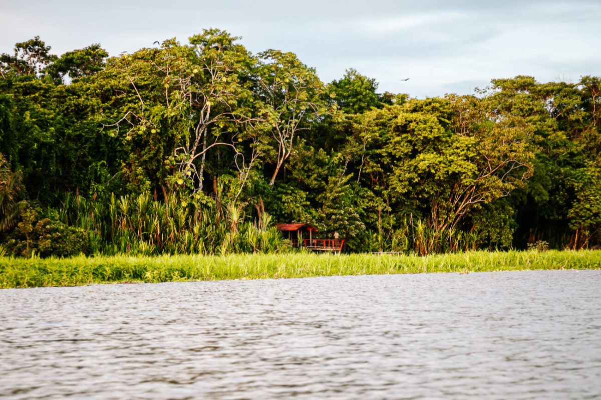 Calanoa jungle lodge in de Amazone van Colombia