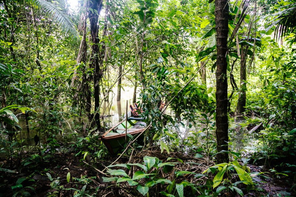 boot in jungle van Colombia