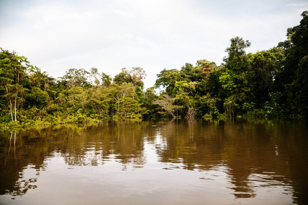 amazone rivier in Colombia