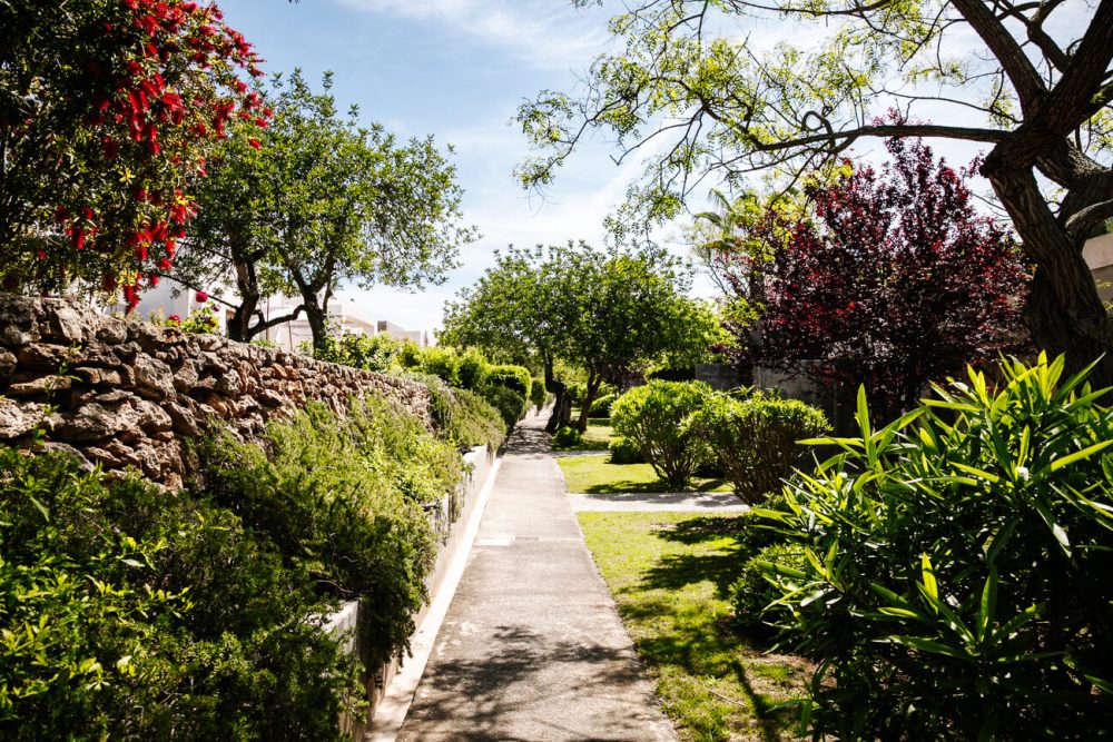 walking paths at Boutique Hotel rural- Can Lluc Agroturismo Ibiza