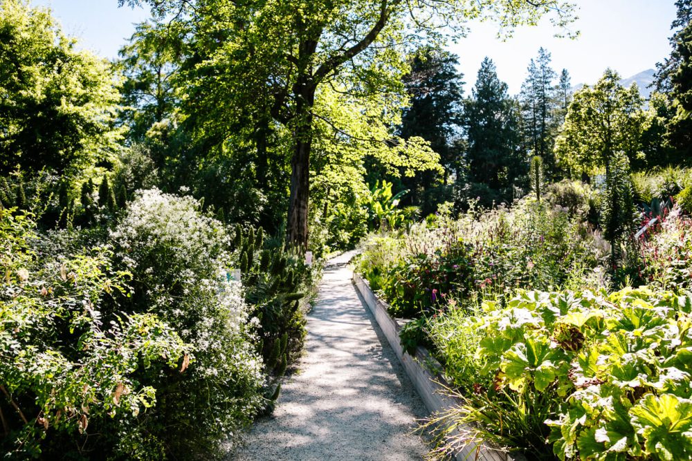 paden in botanische tuin in Ticino Zwitserland