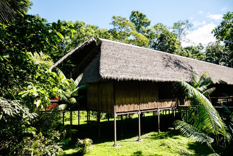 jungle lodge Tambopata Reseach Center van Rainforest Expeditions
