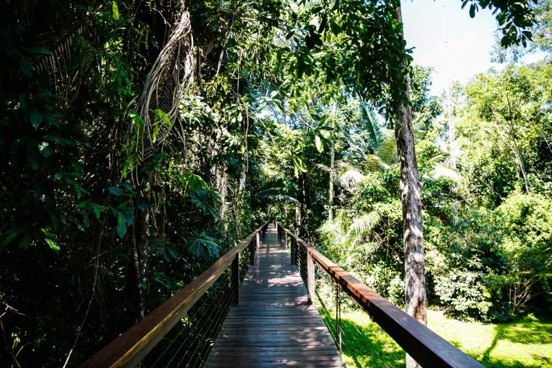 Walkways around Tambopata Research Center - jungle lodge Peru by Rainforest Expeditions.