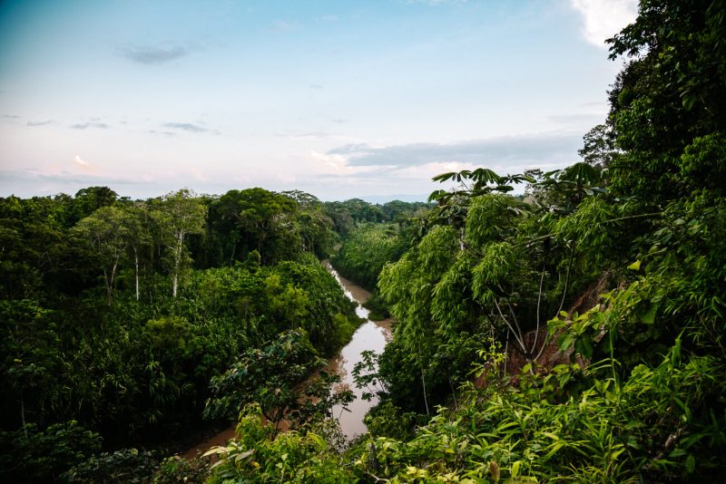 View of river in jungle.