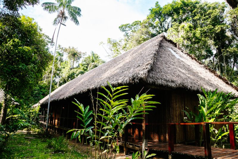 Posada Amazonas - jungle lodge Tambopata Peru by Rainforest Expeditions