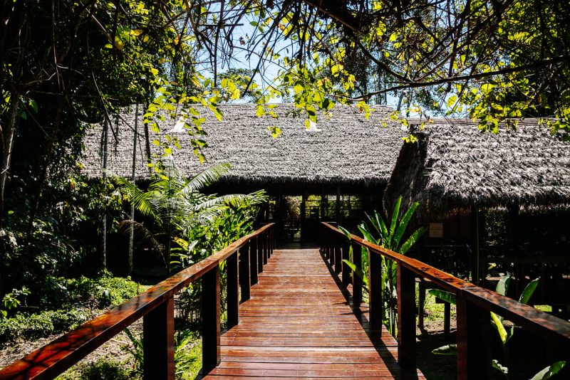 Refugio Amazonas - one of the jungle lodges of Rainforest Expeditions in Tambopata Peru.