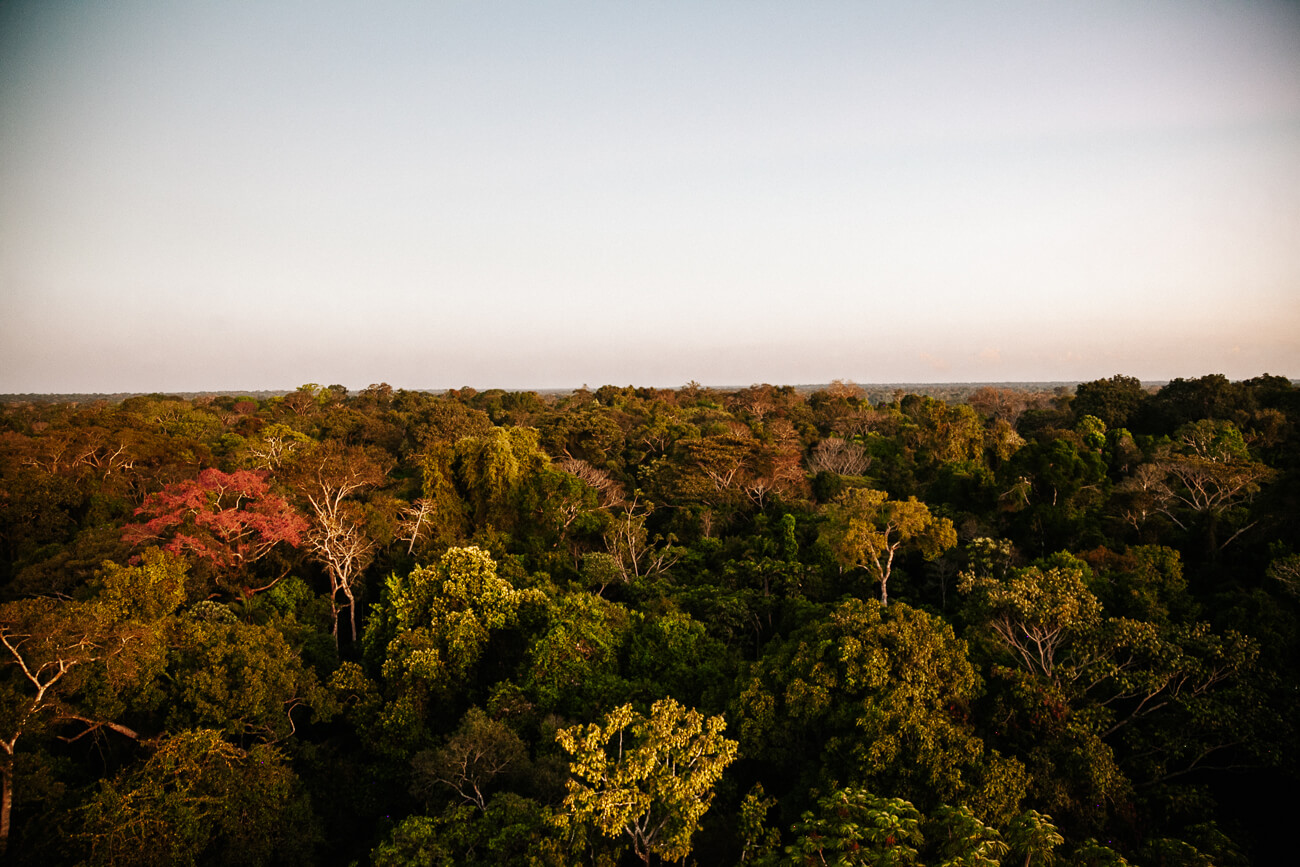 Uitzicht over Tambopata Nationaal Park in de Amazone van Peru.
