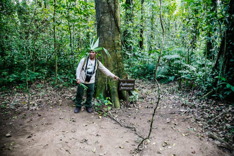 Guide Luis - The Rainforest Expeditions guides really show you all corners of the Amazon jungle in Tambopata Peru, and even more than that.