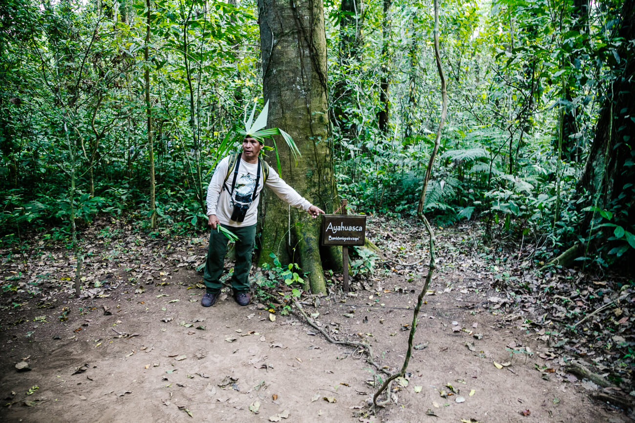 Gids Luis - De gidsen van Rainforest Expeditions laten je werkelijk alle hoeken van de Amazone jungle in Tambopata Peru zien, en nog meer dan dat.