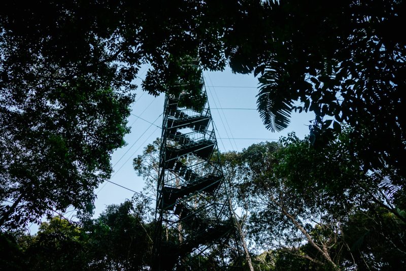 uitzichttoren bij Refugio Amazonas - jungle lodge Tambopata Peru van Rainforest Expeditions