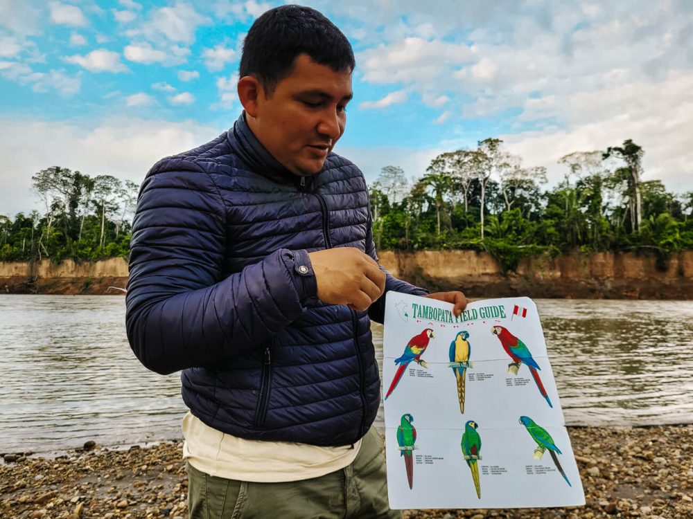 Gids vertelt over papegaaien en Clay Lick, bij Tambopata rivier in Amazone Peru.