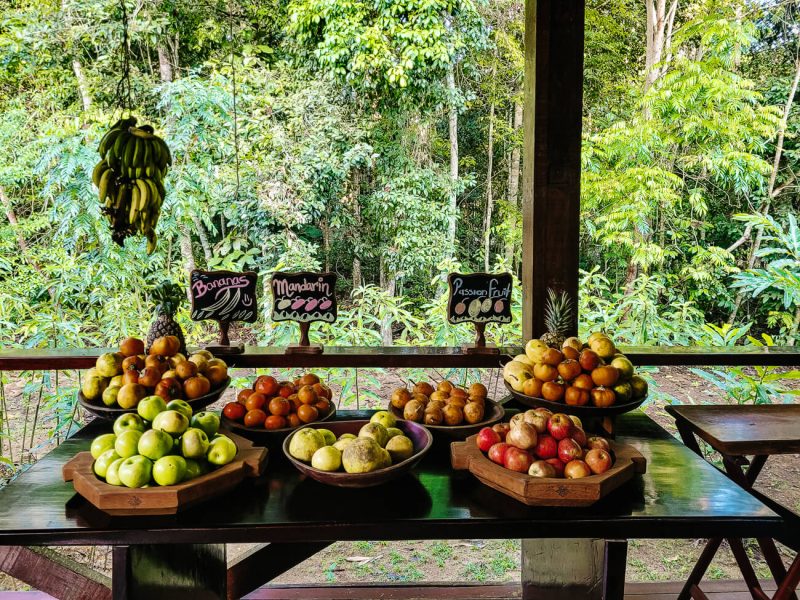 Buffet with jungle fruits at Refugio Amazonas - jungle lodge Tambopata Peru, by Rainforest Expeditions. 