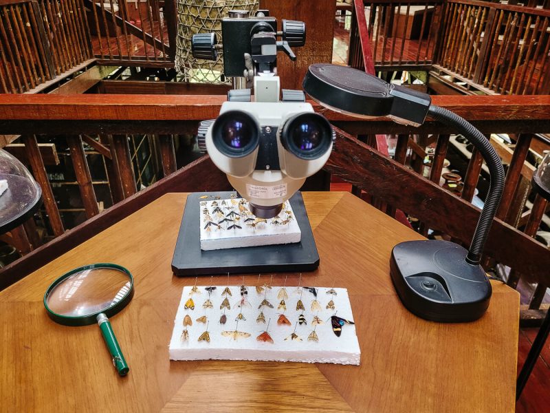 Microscoop en vlinders. Bij Refugio Amazonas en Tambopata Research Center kun je elke avond een lezing bijwonen, die wordt gegeven door de wetenschappers van Wired Amazon. 