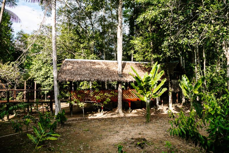 Building of Refugio Amazonas - jungle lodge Tambopata Peru by Rainforest Expeditions.