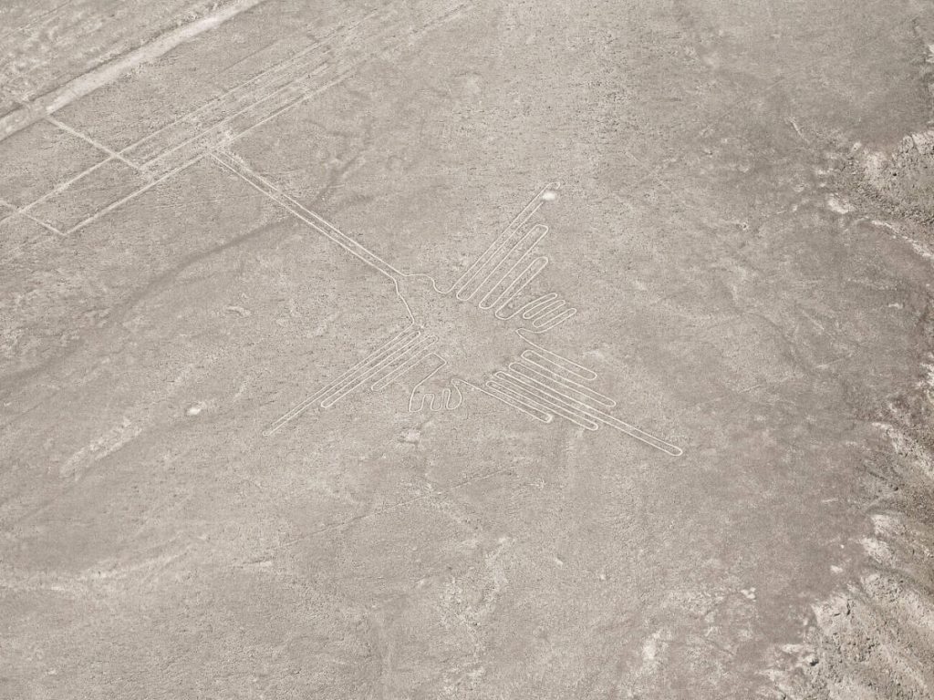 Nazca lijnen - kolibrie. Een van de absolute top bezienswaardigheden tijdens je bezoek aan Nazca in Peru is een vlucht over de Nazca lijnen. Je vliegt langs een tiental figuren waaronder de aap, kolibri, pelikaan, alien, condor en spin.