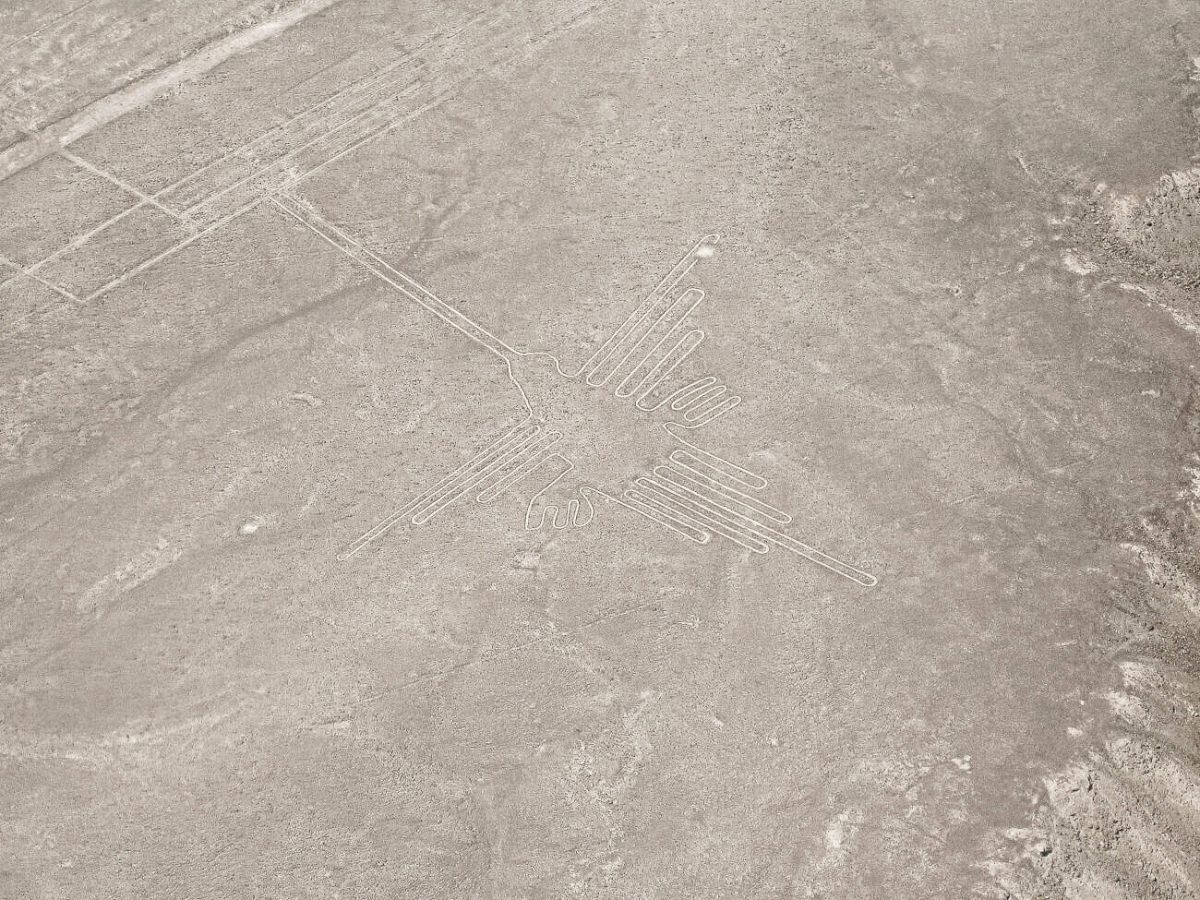 One of the absolute top things to do during your visit to Nazca Peru is to fly over the lines. You fly past a dozen figures including the monkey, hummingbird, pelican, alien, condor and spider. 