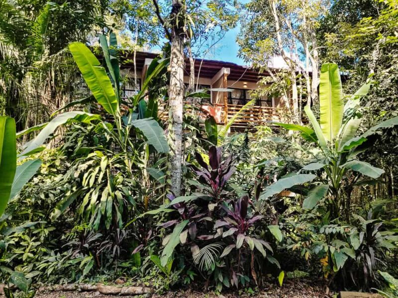 One of the best places to stay in Puerto Maldonado is  Kapievi Ecovillage. This lodge is located in a natural environment, just outside the center. The rooms are comfortable, there is a swimming pool and a nice restaurant where delicious dishes are served.
