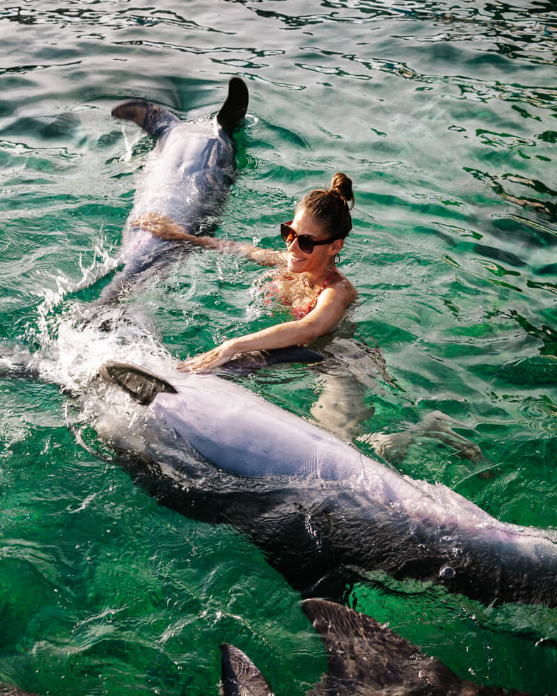 Deborah with dolphins at Oceanario Islas del Rosario in Colombia.