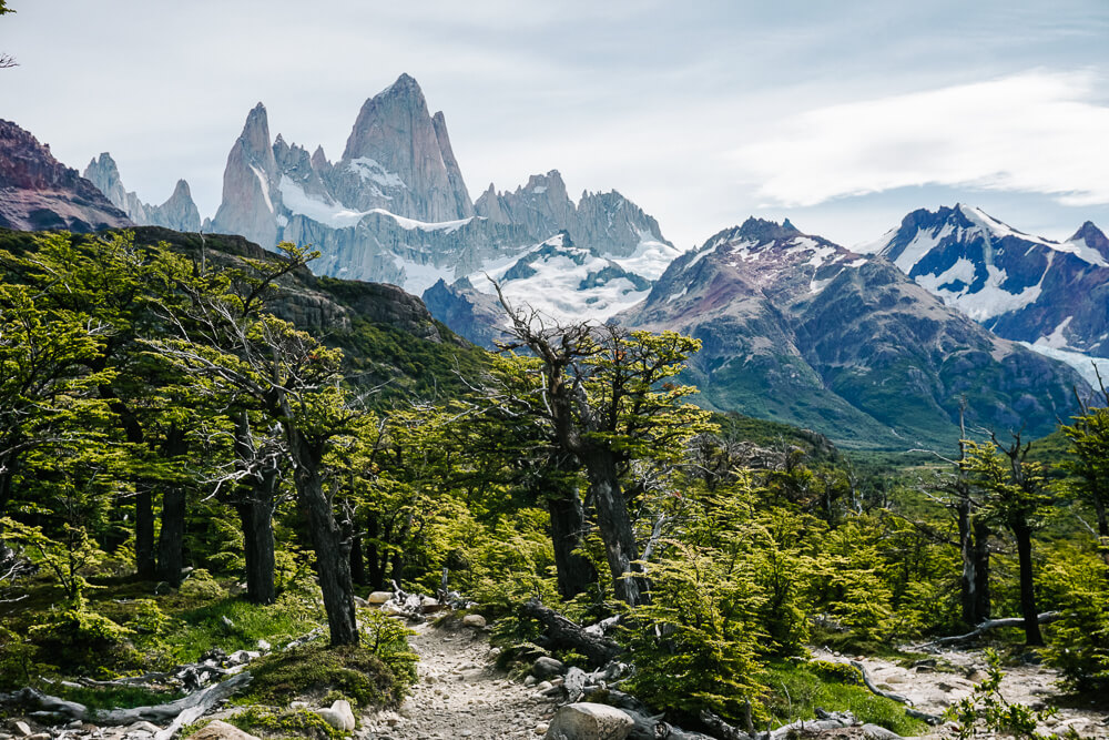 View during one of the best day hikes in El Chaltén, to Laguna de los Tres.
