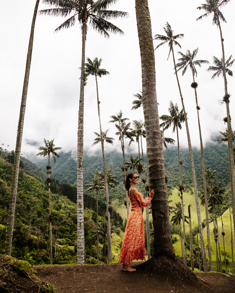 Deborah in de Valle de Cocora met de hoogste palmbomen ter wereld.