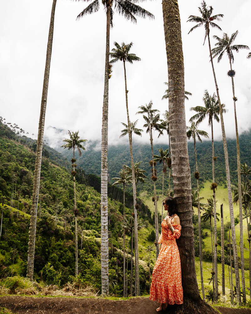 Deborah in Cocora valley in Colombia.