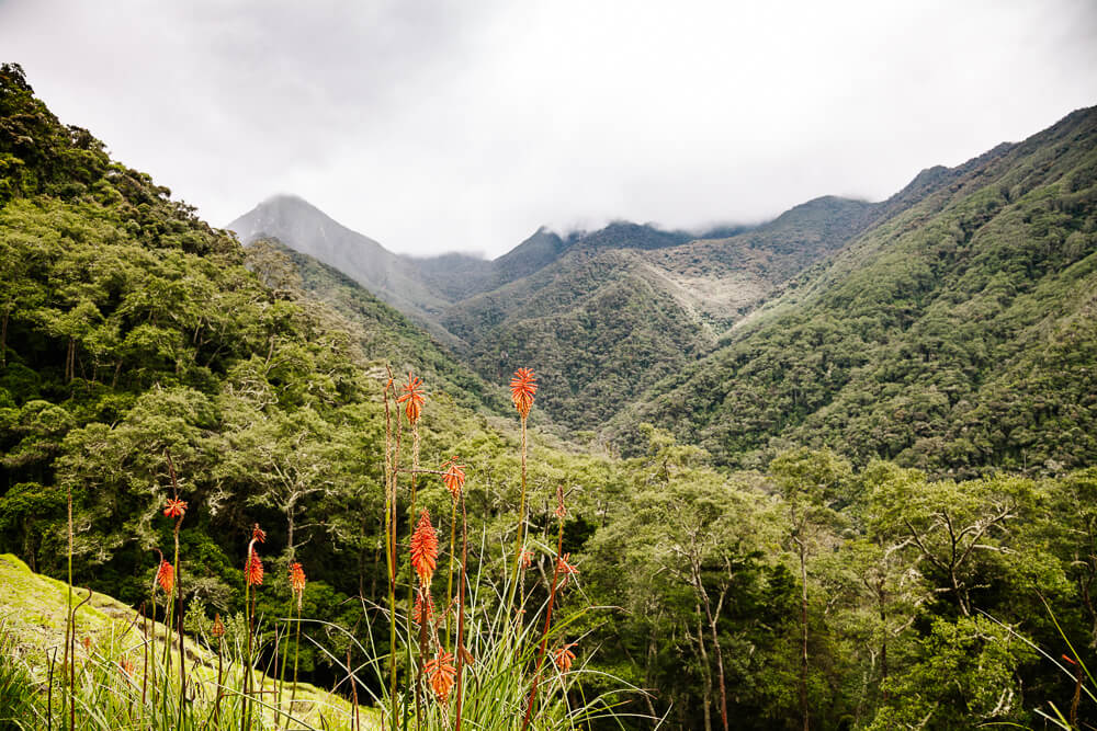 View of Finca La Montana in Valle de Cocora.