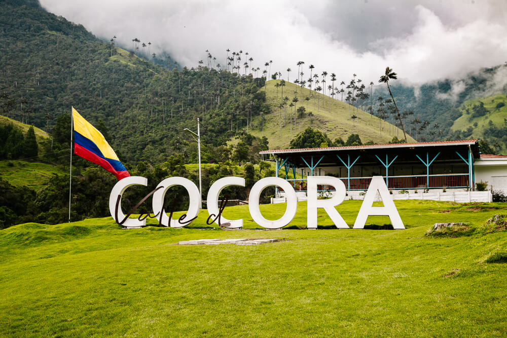 Bord met Valle de Cocora.