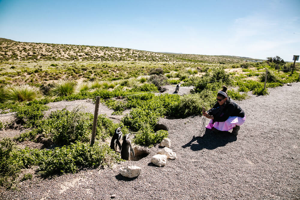 Deborah met pinguïns bij Punta Ninfas.