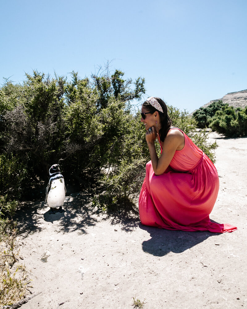 Deborah between the penguins at Punta Ninfas.
