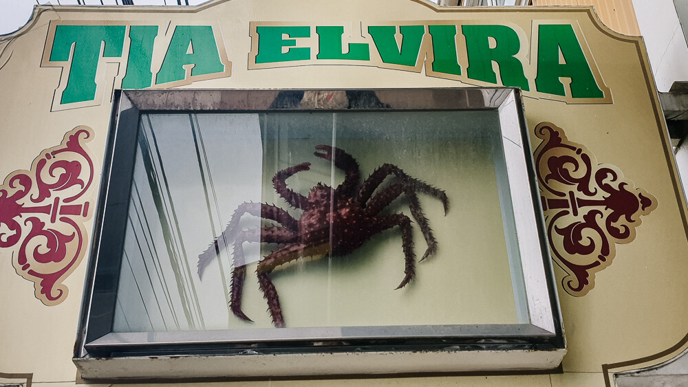 Overal in resraurants in Ushuaia Argentina kom je de beroemde centolla, king crab, ofwel de Patagonische koningskrab tegen.