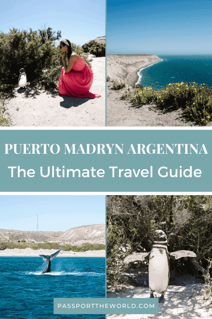 What to do in Puerto Madryn Argentina | Discover tips for things to do in Puerto Madryn and Peninsula Valdes. Find a full guide for Puerto Madryn travel and surroundings.
