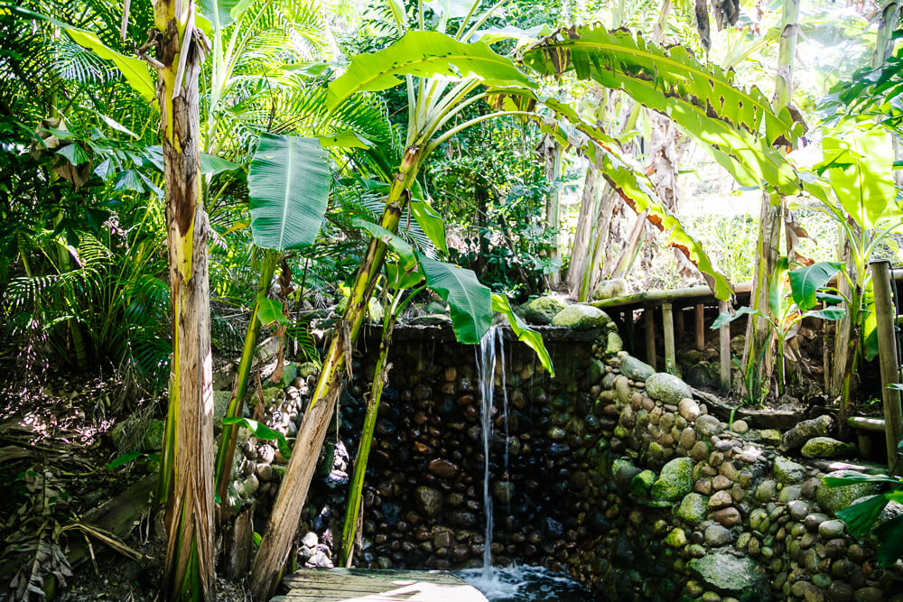 Ankua Eco Hotel heeft een aantal kleine watervalletjes, met natuurlijke zwembaden. 
