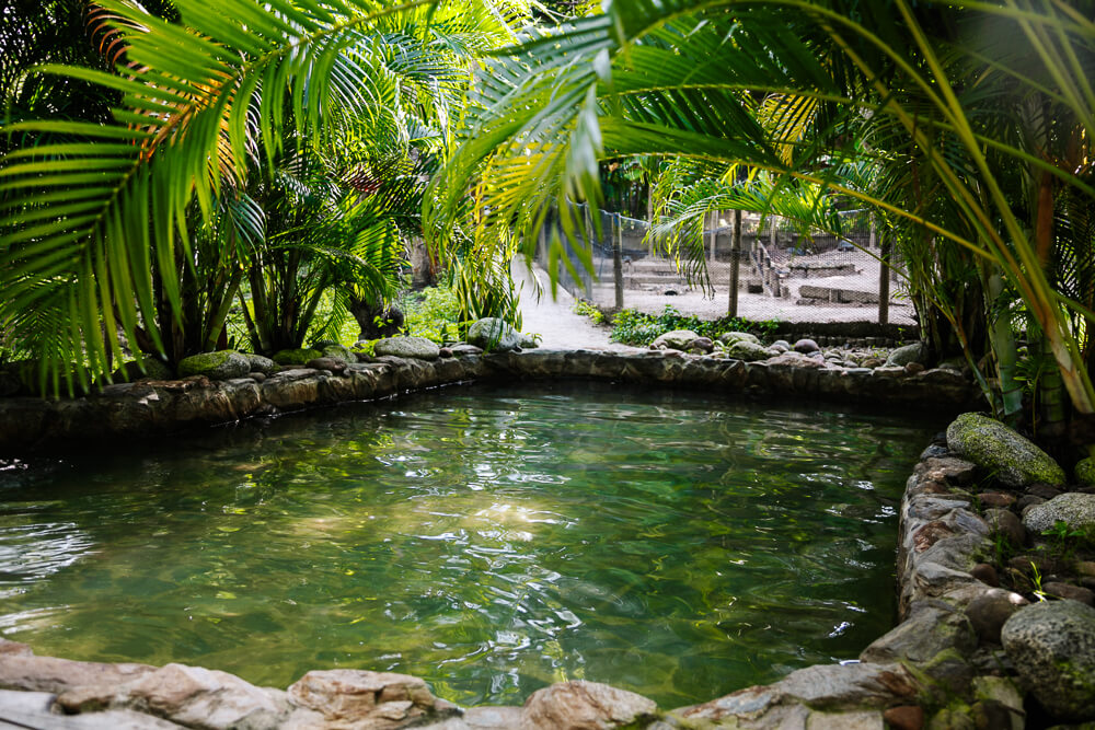 Ankua Eco Hotel has a number of small waterfalls, with natural pools.