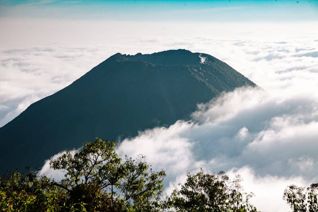 Cerro Verde biedt een van de mooiste uitzichtpunten op de Santa Ana vulkaan en het meer van Coatepeque. 