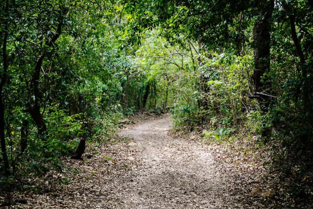 Wandelpaden in Nationaal park El Imposible.