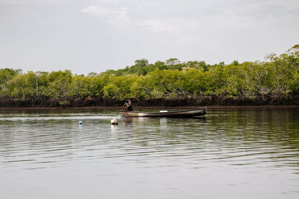 Bahia de Jiquilisco is, with 100,000 hectares, is the largest mangrove area in the region.