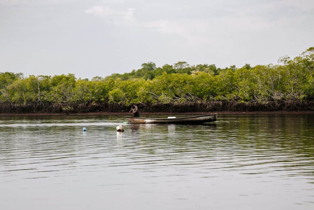 Bahia de Jiquilisco is met 100.000 hectare het grootste mangrovegebied van Centraal Amerika.